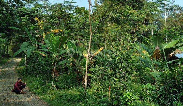Lahan di Sindangkerta Cililin, Cocok Utk Berkebun, Beternak,villa 4