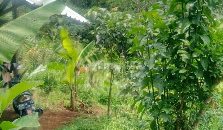 Lahan Subur Strategis di Sindangkerta, Dekat Ke Jalan Propinsi 5