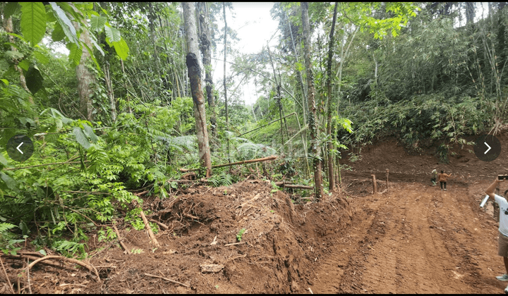 Tanah Kavling Kebun Durian Penebel Tabanan 2