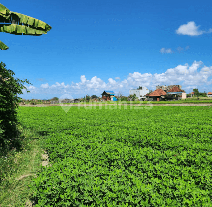 Tanah Dekat Pantai Ketewel Gianyar Bali 2