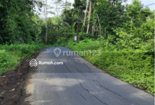 on Jalan Raya Cebok Tegallalang Ubud Gianyar Bali, Gianyar 1