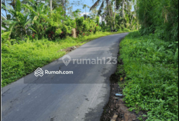 on Jalan Raya Cebok Tegallalang Ubud Gianyar Bali, Gianyar 2