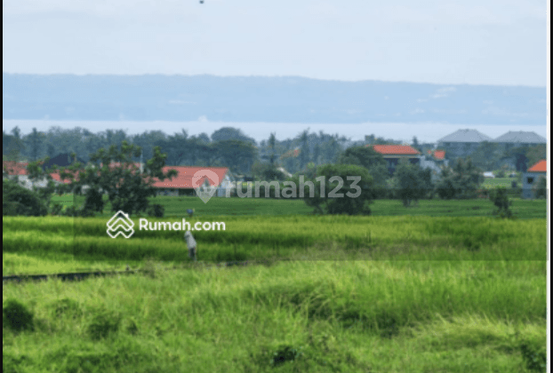 di Seseh Mengwi Badung Bali, Badung 2