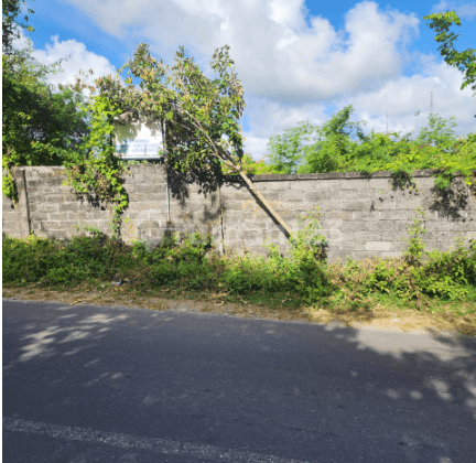 di Jalan Utama Goagong Ungasan Kuta Selatan Badung Bali, Badung 1