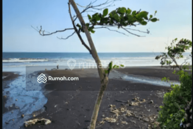 Land on Pasat Beach, Tibubiu Village, Kerambitan, Tabanan, Bali, Tabanan 2