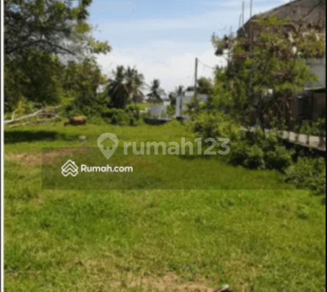 Tanah di Jalan Utama Pererenan, Badung 1