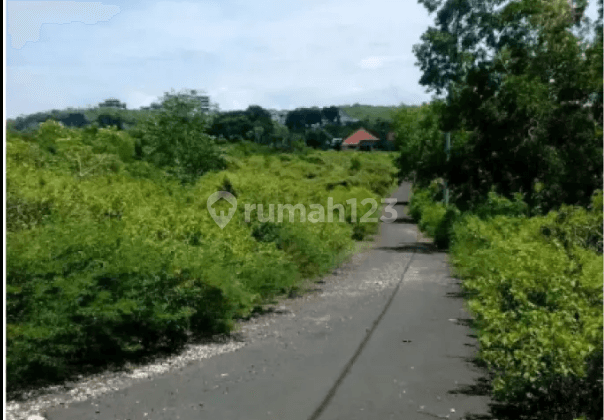 Tanah di jalan Tunjung Ungasan Kuta Selatan, Badung 2