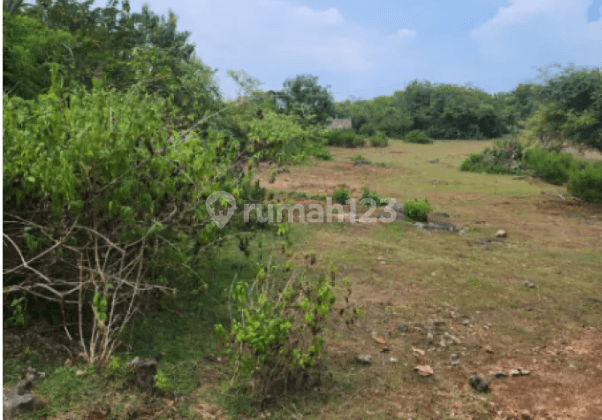 Tanah di jalan Gayang Sari Kutuh Kuta Selatan Badung Bali Ungasan, Badung, Badung 1