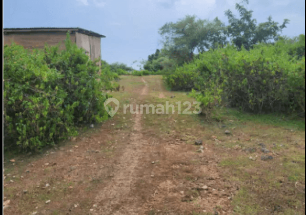 Tanah di jalan Gayang Sari Kutuh Kuta Selatan Badung Bali Ungasan, Badung, Badung 2