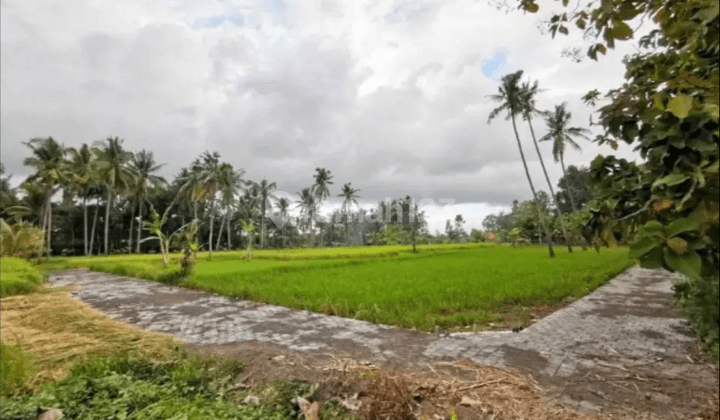 Land in Tunduh lod Ubud, Gianyar 1