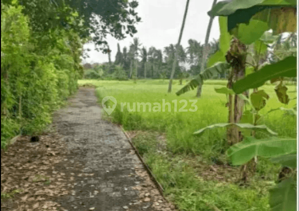 Land in Tunduh lod Ubud, Gianyar 2