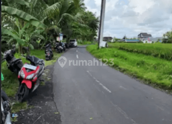 Tanah di Jl. Cinta Tegallalang Ubud Gianyar Bali, Gianyar 1