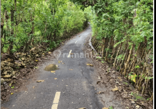 Land in Jalan Pura Beji Pecatu Uluwatu South Kuta Badung Bali, Badung 2