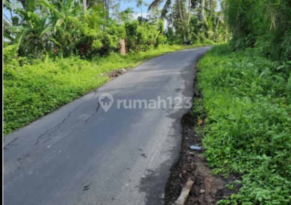 Tanah di Jalan Raya Cebok Tegallalang Ubud Gianyar Bali Ubud, Gianyar
, Gianyar 2