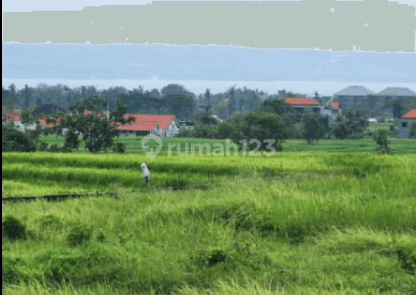 Tanah di Seseh Mengwi Badung Bali Mengwi, Badung
, Badung 2