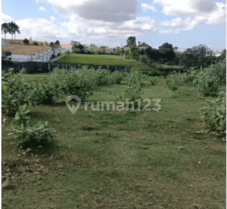 Tanah di jln Bumbak Arah Ke Short Cut Bumbak Brawa Canggu, Badung 2