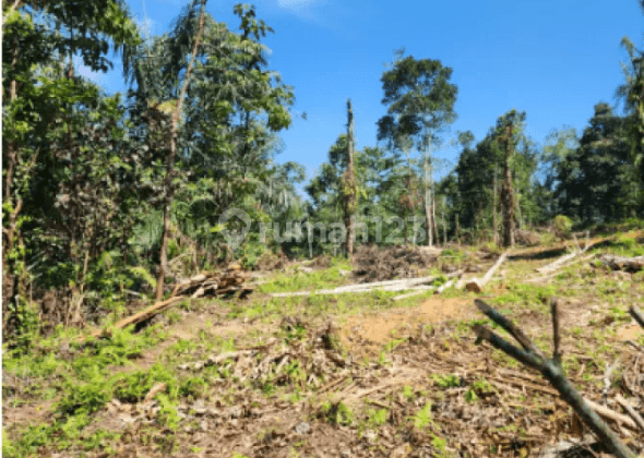 Tanah di Jl. Subak Piak Desa Wangaya Gede, Kecamatan Penebel Tabanan, Tabanan 1