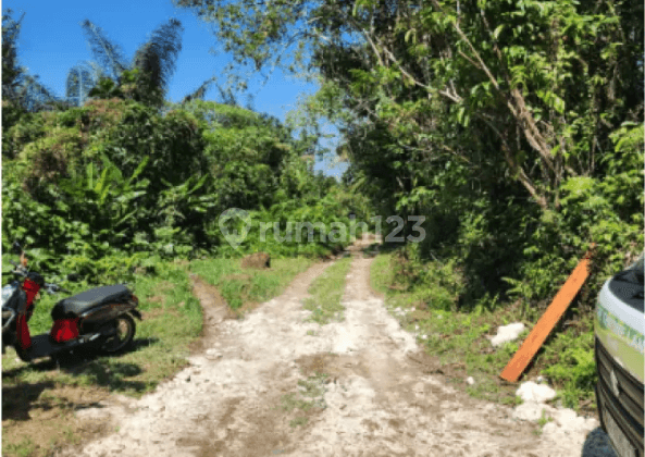 Tanah di Jl. Subak Piak Desa Wangaya Gede, Kecamatan Penebel Tabanan, Tabanan 2