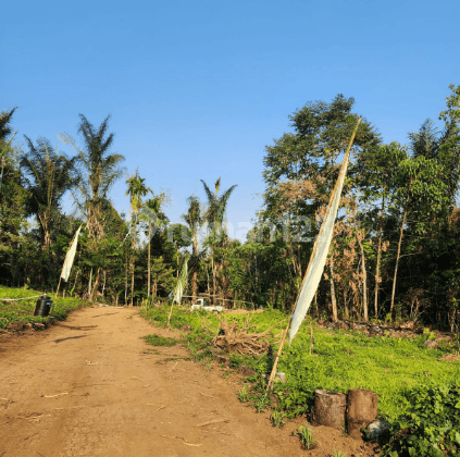 Land on Jl. Subak Piak Wangaya Gede Village, Tabanan Penebel District
, Tabanan 2