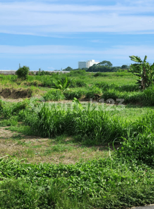 Tanah di Jalan Padang Galak Sanur Denpasar, Denpasar 1