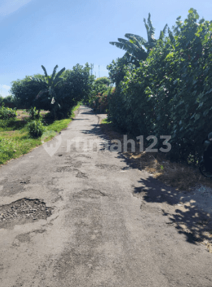 Tanah di Jalan Padang Galak Sanur Denpasar, Denpasar 2