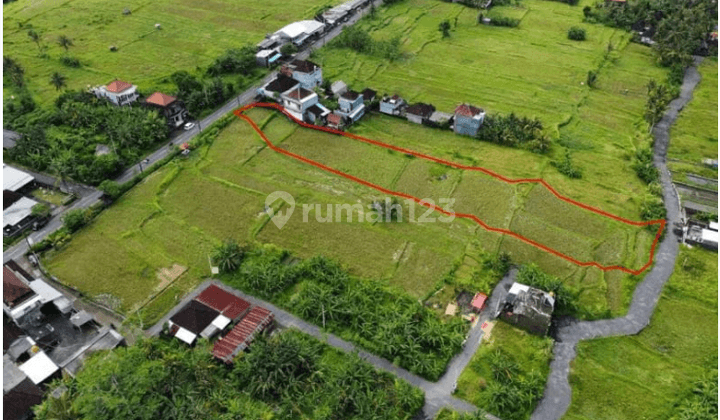 Land in Jalan Siangan Gianyar, Gianyar 2