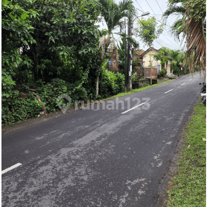 Land on Jalan Utama Babakan Canggu North Kuta Badung Bali, Badung 1