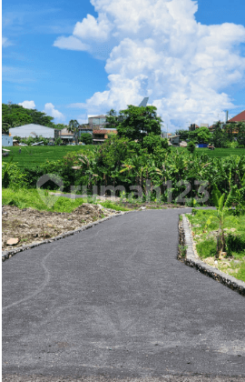 Tanah di Jalan Kedampang Kerobokan Kuta Utara Badung Bali, Badung 1