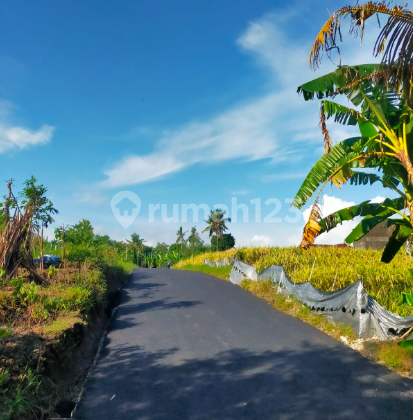 Land in Kedungu Land in Kedungu