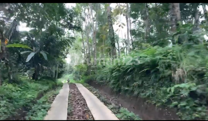 Villa Kampung Damai in Tabanan