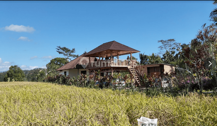 Tanah Kavling Kebun Durian Penebel Tabanan 1