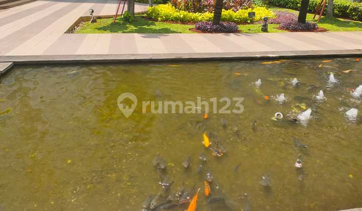 For Rent Green Bay Pluit Apartment 2br Fully Furnished 2