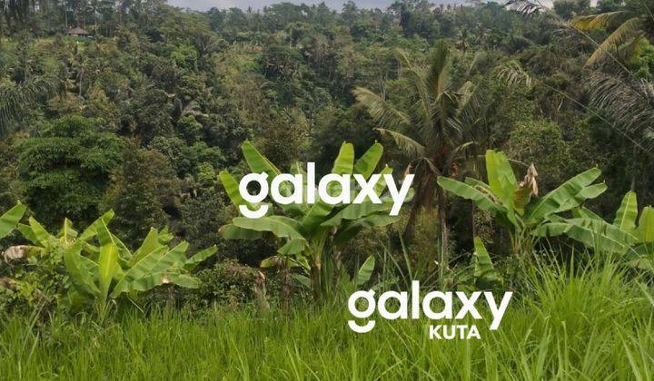 LAND FOR SALE IN TEGALLALANG GIANYAR, BALI 2