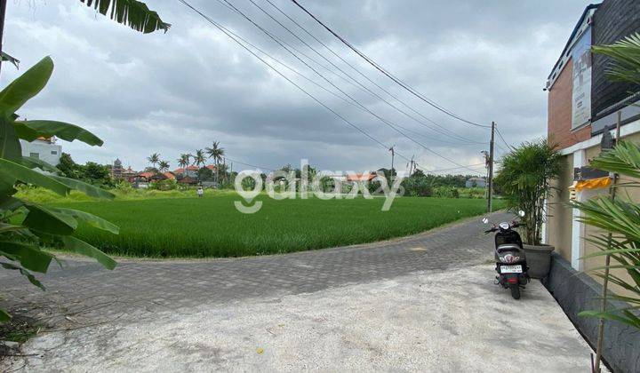 TANAH BUDUK BERNASI VILLAGE MENGWI BADUNG, BALI 2