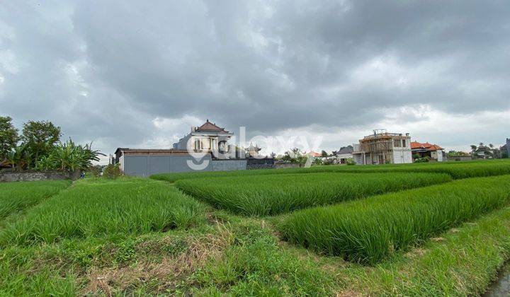 TANAH BUDUK BERNASI VILLAGE MENGWI BADUNG, BALI 1