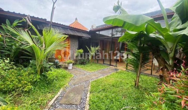 3 bedrooms villa no pool with huge garden in Sanur 3 bedrooms villa no pool with huge garden in Sanur