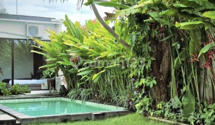 Fully Furnished Villa With Huge Garden And Spacious Rooms