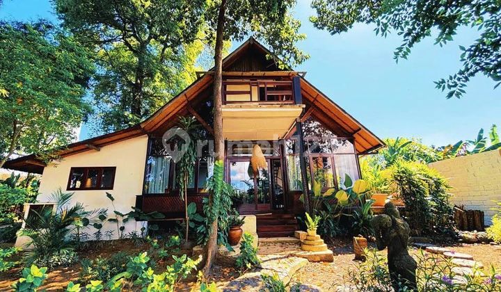 Pet Friendly Villa With Massive Garden 1500Sqm Land Size