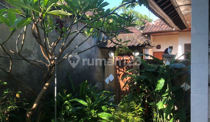 Cheapest villa across the sunrise beach of Sanur Cheapest villa across the sunrise beach of Sanur