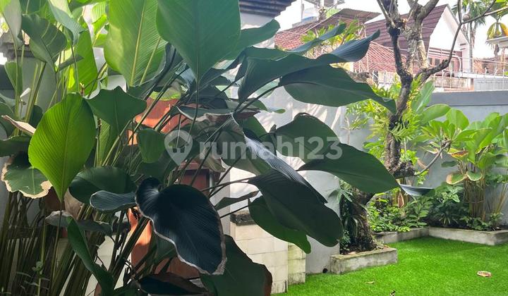 Villa 3 Bedrooms Semi Furnished In Sanur Denpasar Bali 2