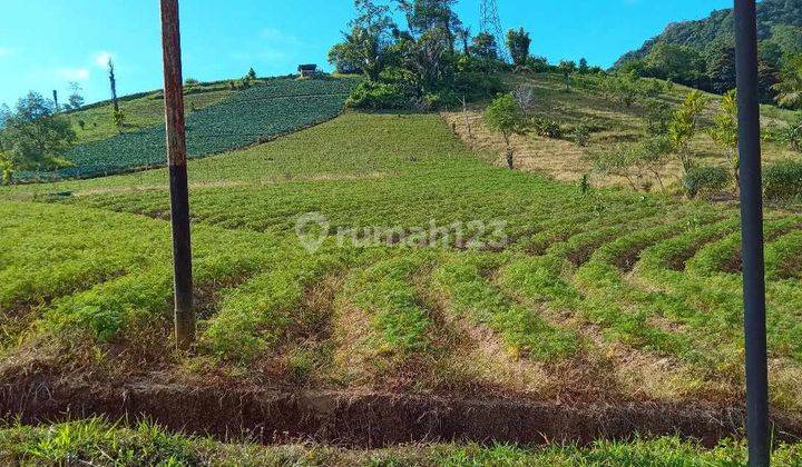 Tanah SHM di Peslaten Satu, Tomohon Timur, Sulawesi Utara 1