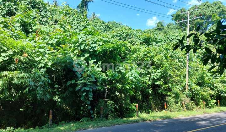 Land 26,634 m2 with Certificate of Ownership (SHM) in Mandolang, Minahasa. Land 26,634 m2 with Certificate of Ownership (SHM) in Mandolang, Minahasa.