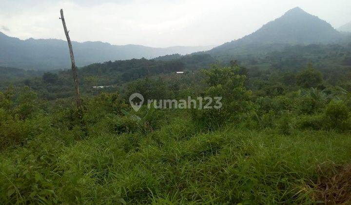 Di Jual Tanah Butuh Cepat Sangat Setrategis Cocok Buat Inves  2