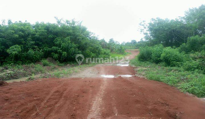 Tanah Jl Raya Petir Dekat Perumahan Kedaton Grande 2