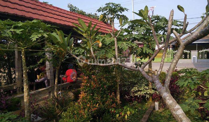 Hunian Pinggir Jalan Ds Wanakarta Bojonegara 2 Lantai 19