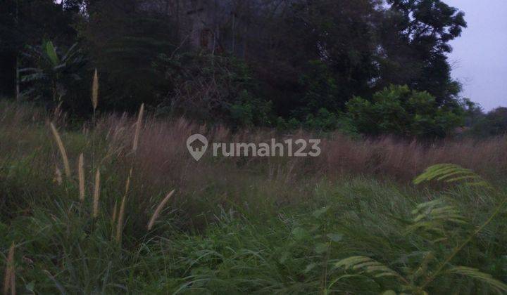 Dijual Lokasi tanah datar 1