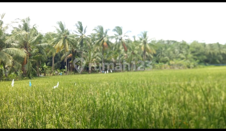 Dataran tinggi 4