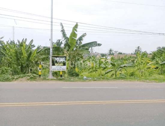 Tanah Jalan Utama Gunung Pinang Strategis 1