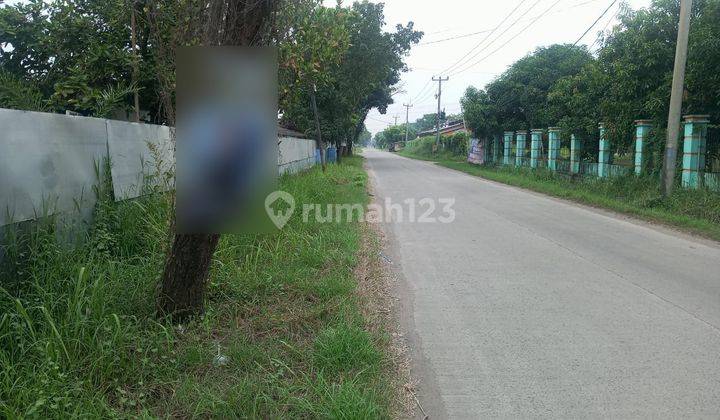 Tanah Cocok Untuk Gudang Jalan Bojonegara 2