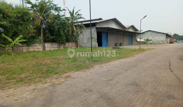 Tanah Berikut Gudang Bojonegara Jl Terate 2